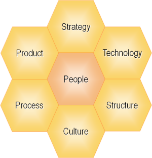 Seven Aspects of Business Change